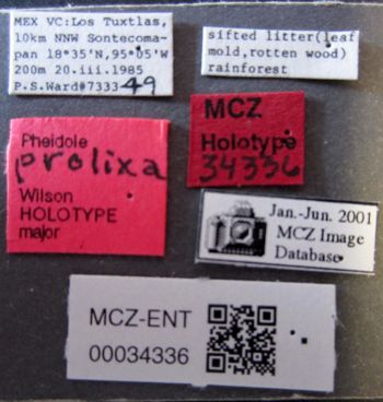 Media type: image;   Entomology 34336 Aspect: labels